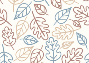 A Brand New Look (Again!)